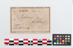 Etiketten zu Bronzebuckelarmreif (NHMW-PRAE-023950)